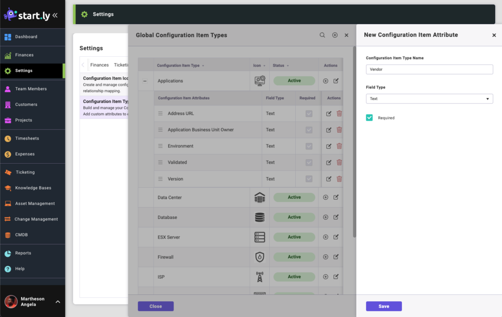 Configuration item type attributes